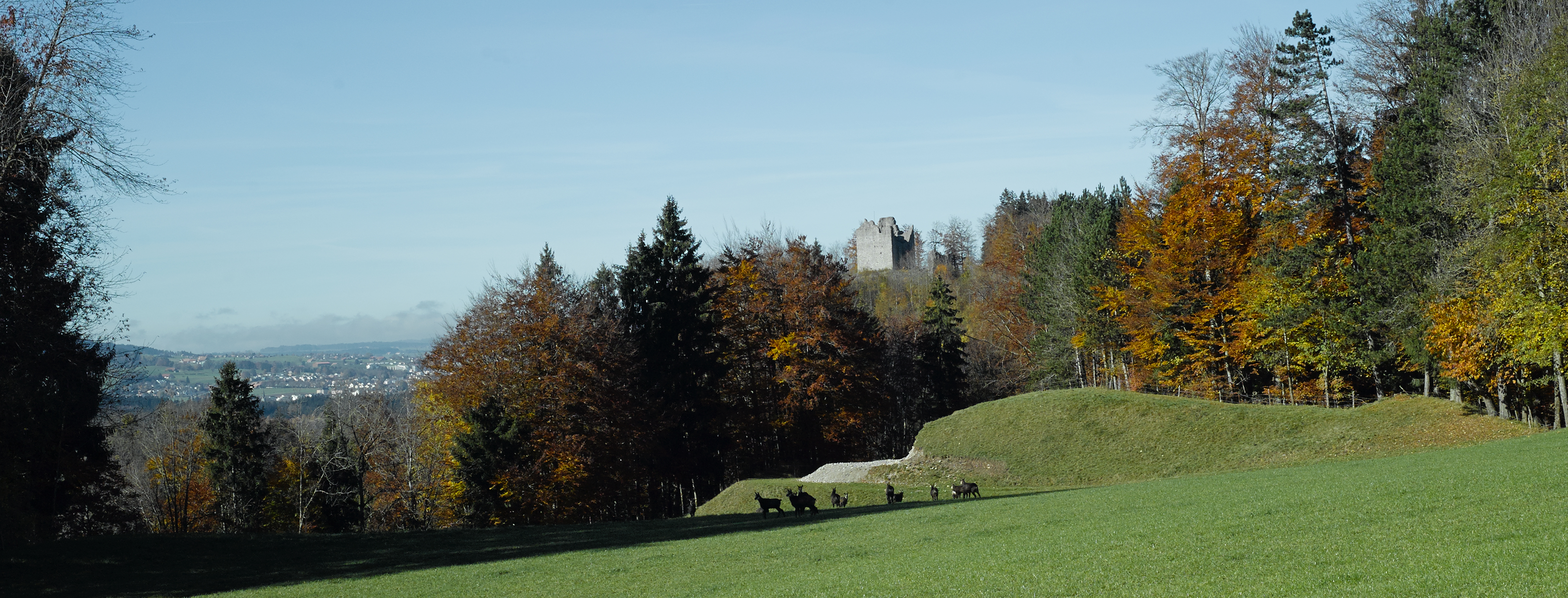 Panoramique Montsalens